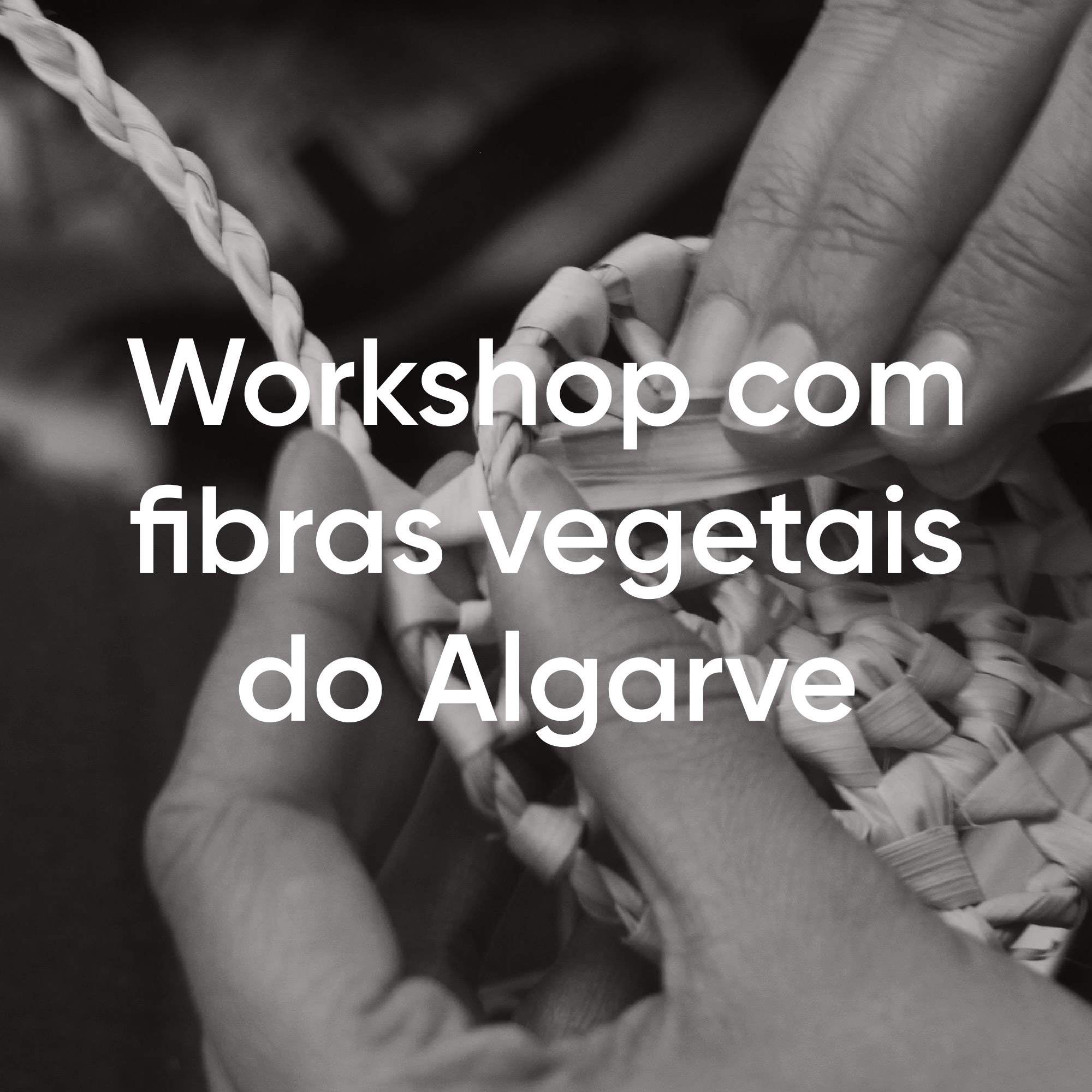 Experience_Fibras vegetais do Algarve_1080x1080-01-01